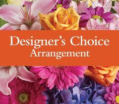 Design of the Day
